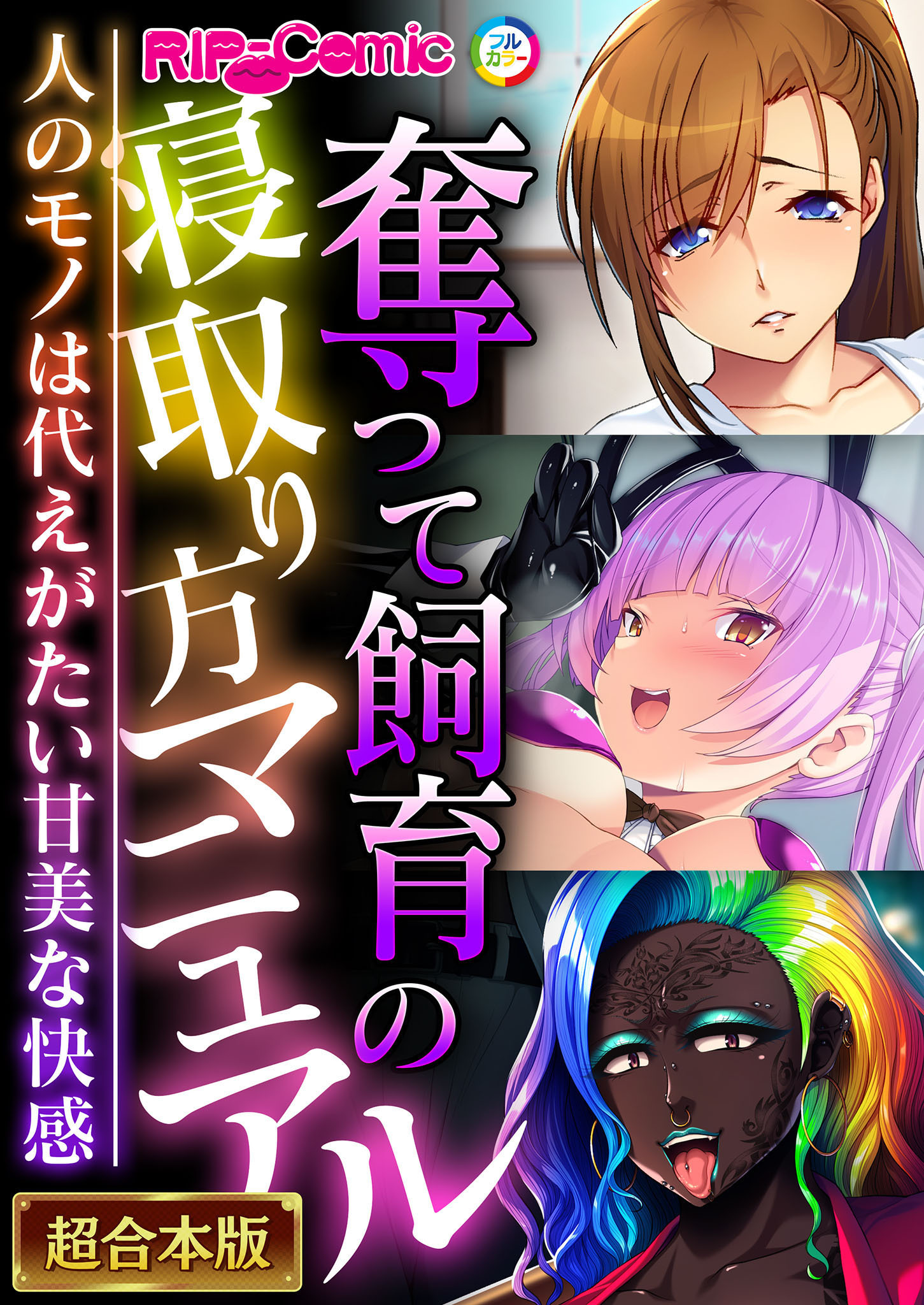 奪って飼育の寝取り方マニュアル ～人のモノは代えがたい甘美な快感～【超合本シリーズ】