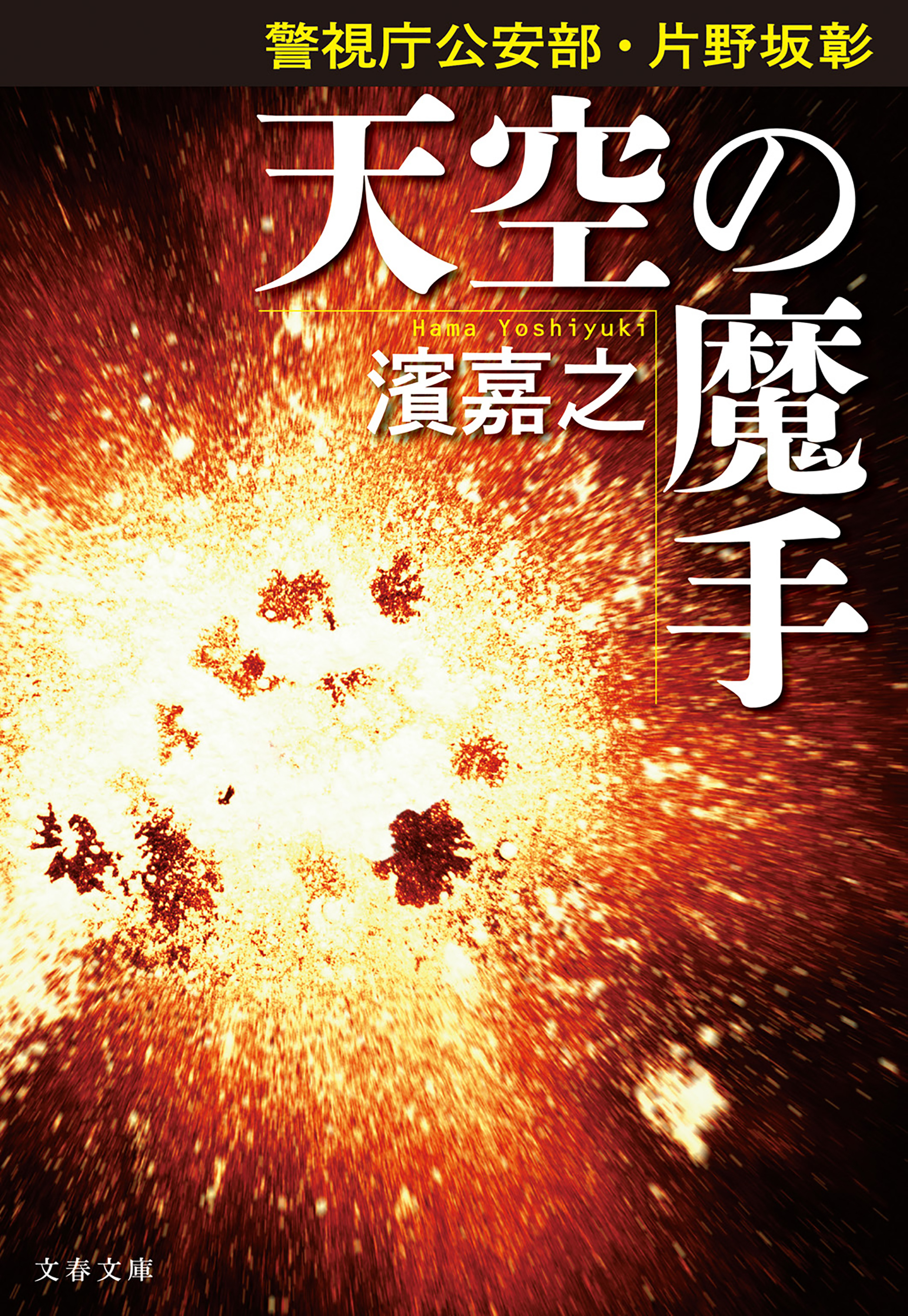 警視庁公安部・片野坂彰　天空の魔手