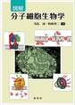 図解 分子細胞生物学