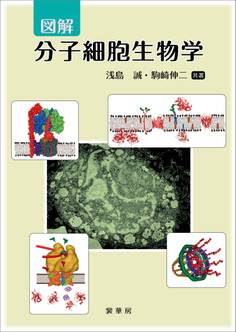 図解 分子細胞生物学
