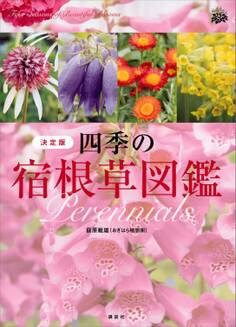 四季の宿根草図鑑 決定版