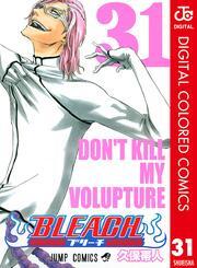BLEACH カラー版 31