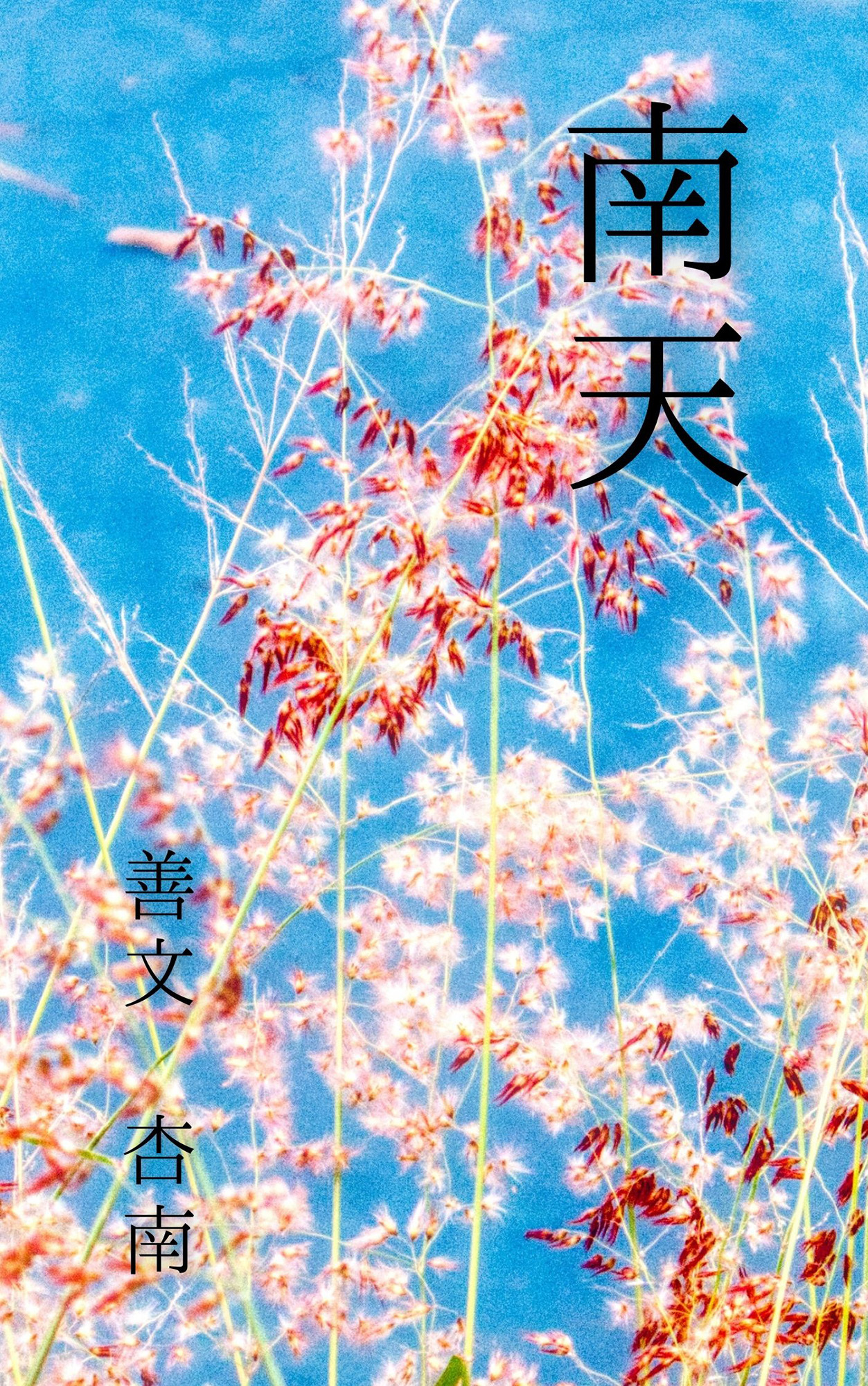 南天