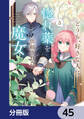 どうも、好きな人に惚れ薬を依頼された魔女です。【分冊版】 45