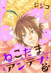 ねこだまアンテナ2