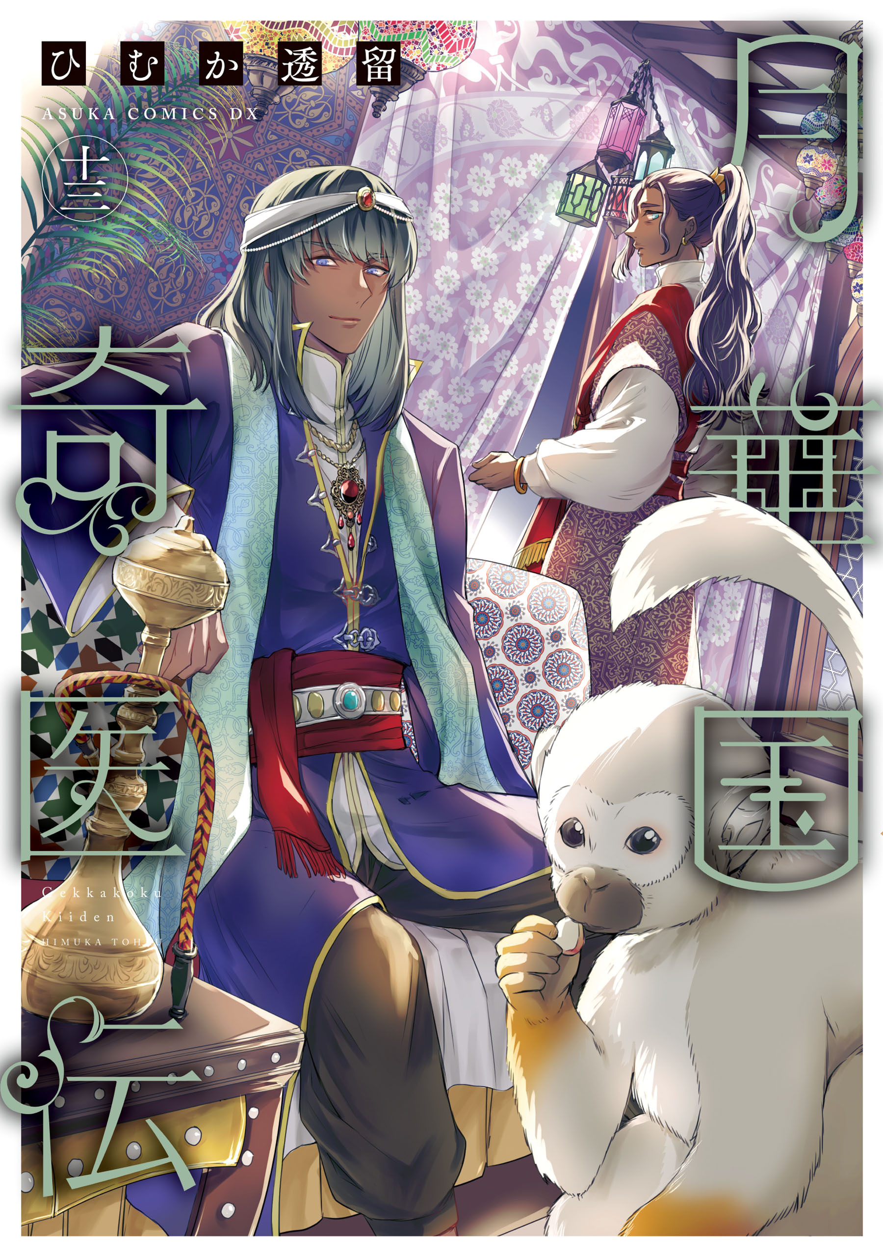 月華国奇医伝　第十三巻