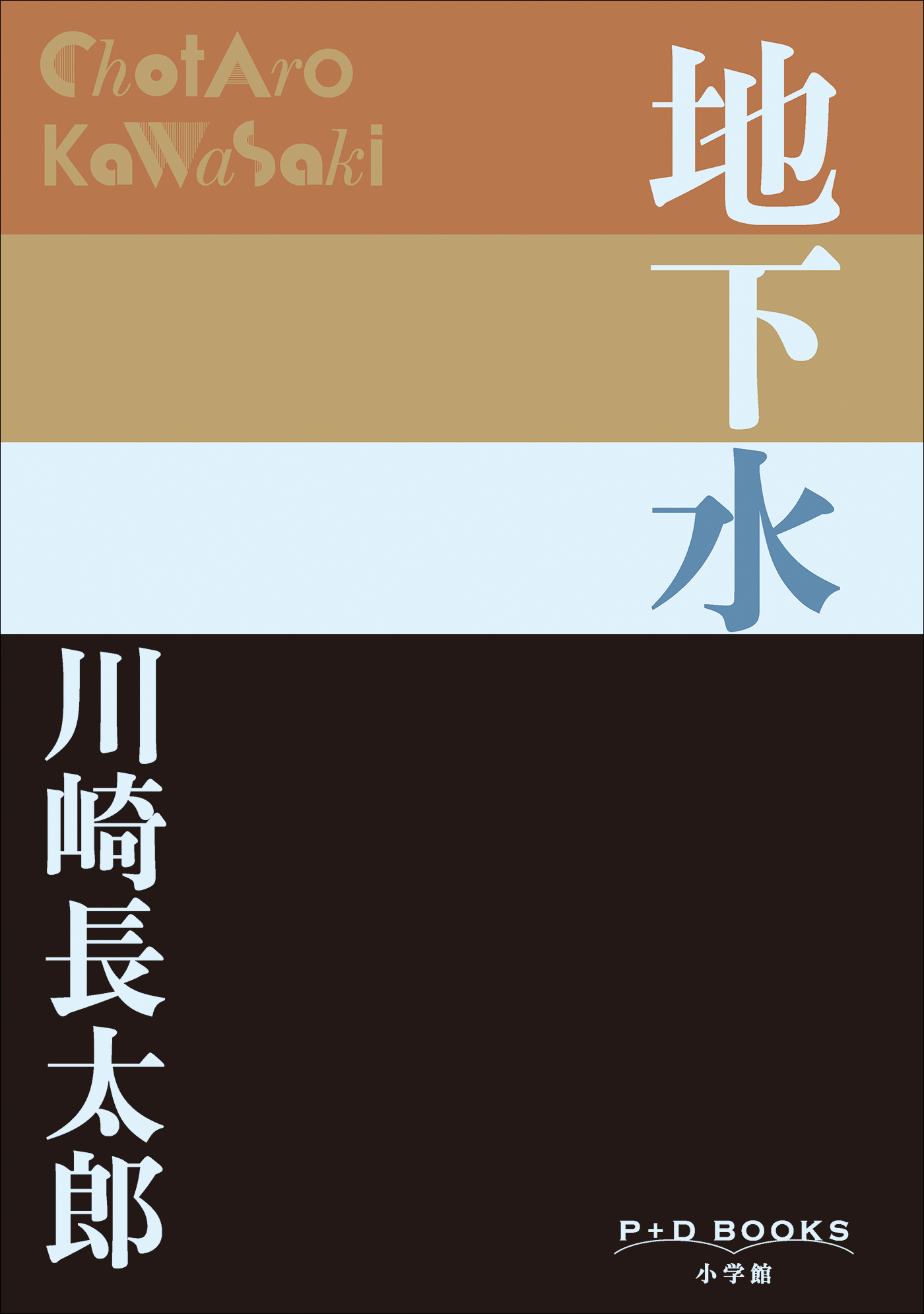 P+D BOOKS　地下水