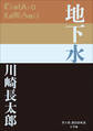 P+D BOOKS 地下水