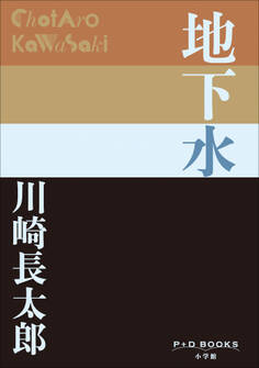 P+D BOOKS 地下水