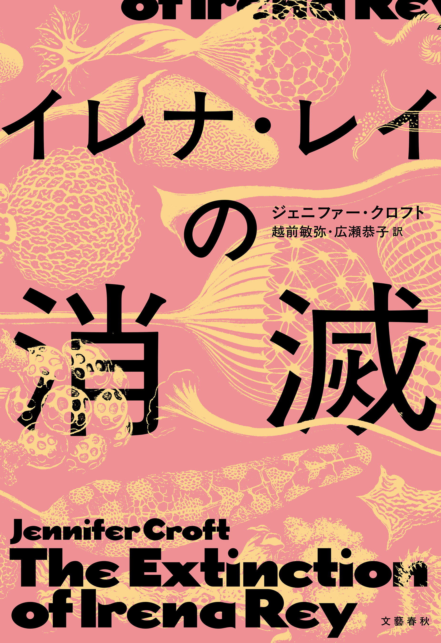 イレナ・レイの消滅