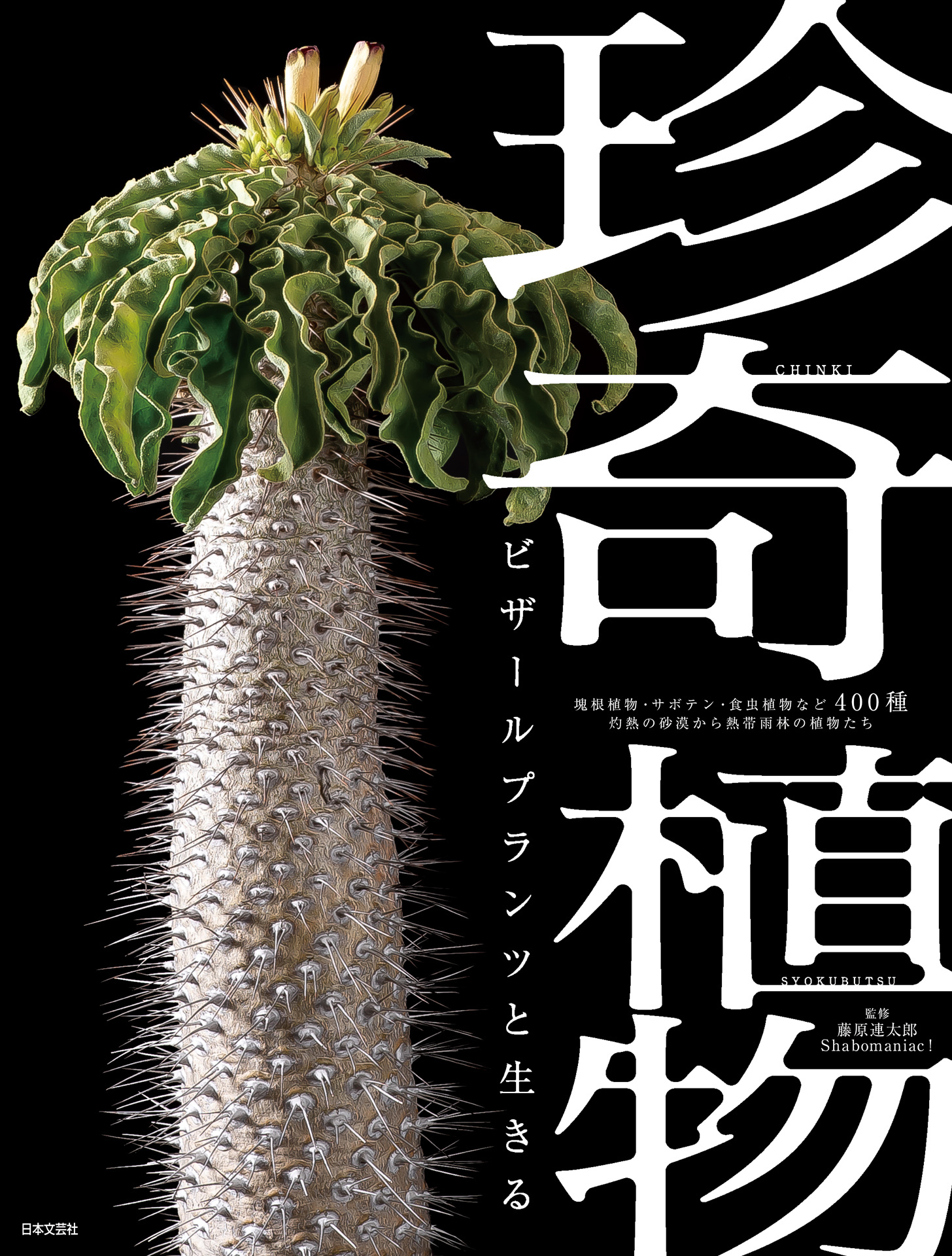 珍奇植物　ビザールプランツと生きる