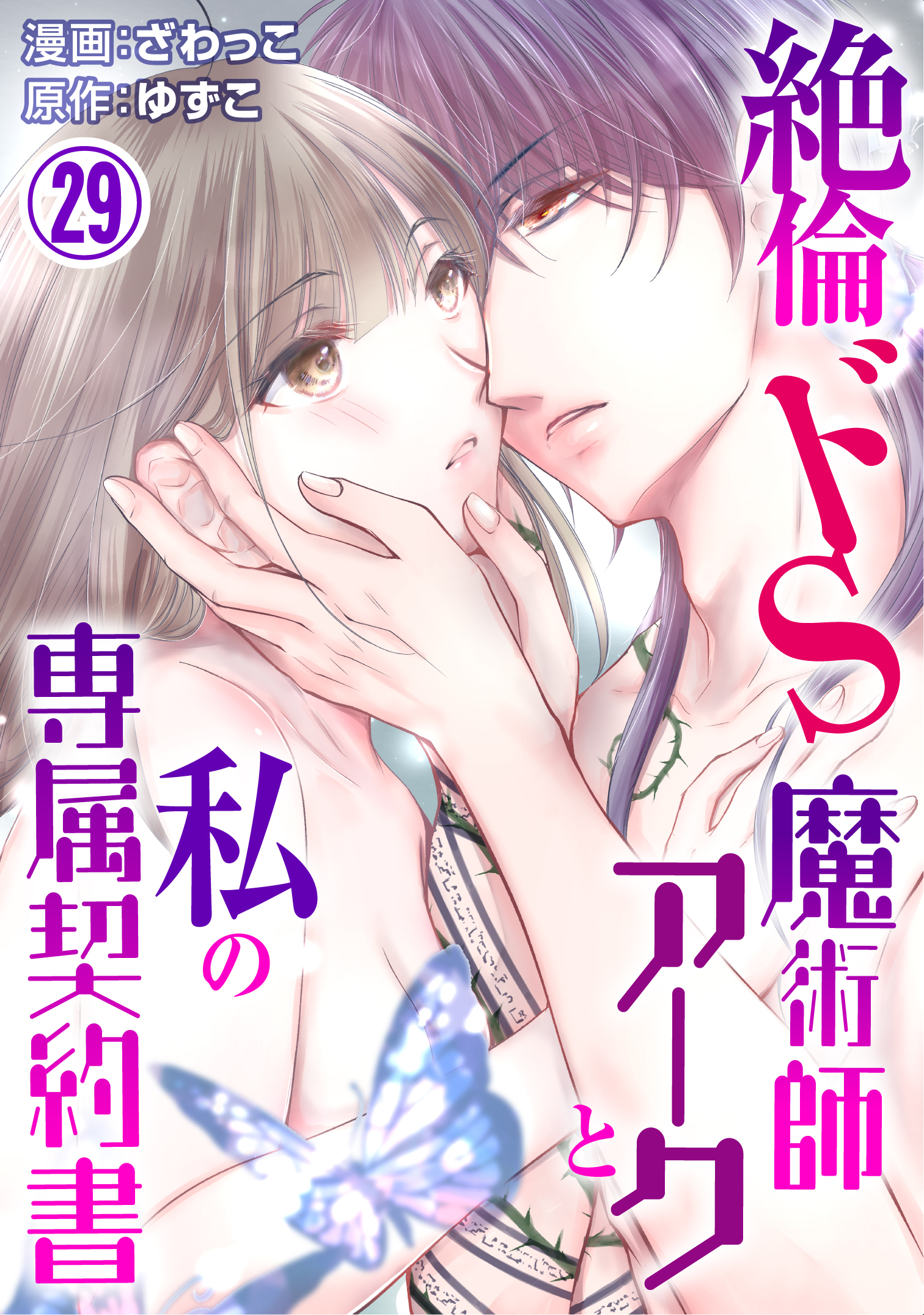 絶倫ドS魔術師アークと私の専属契約書 29