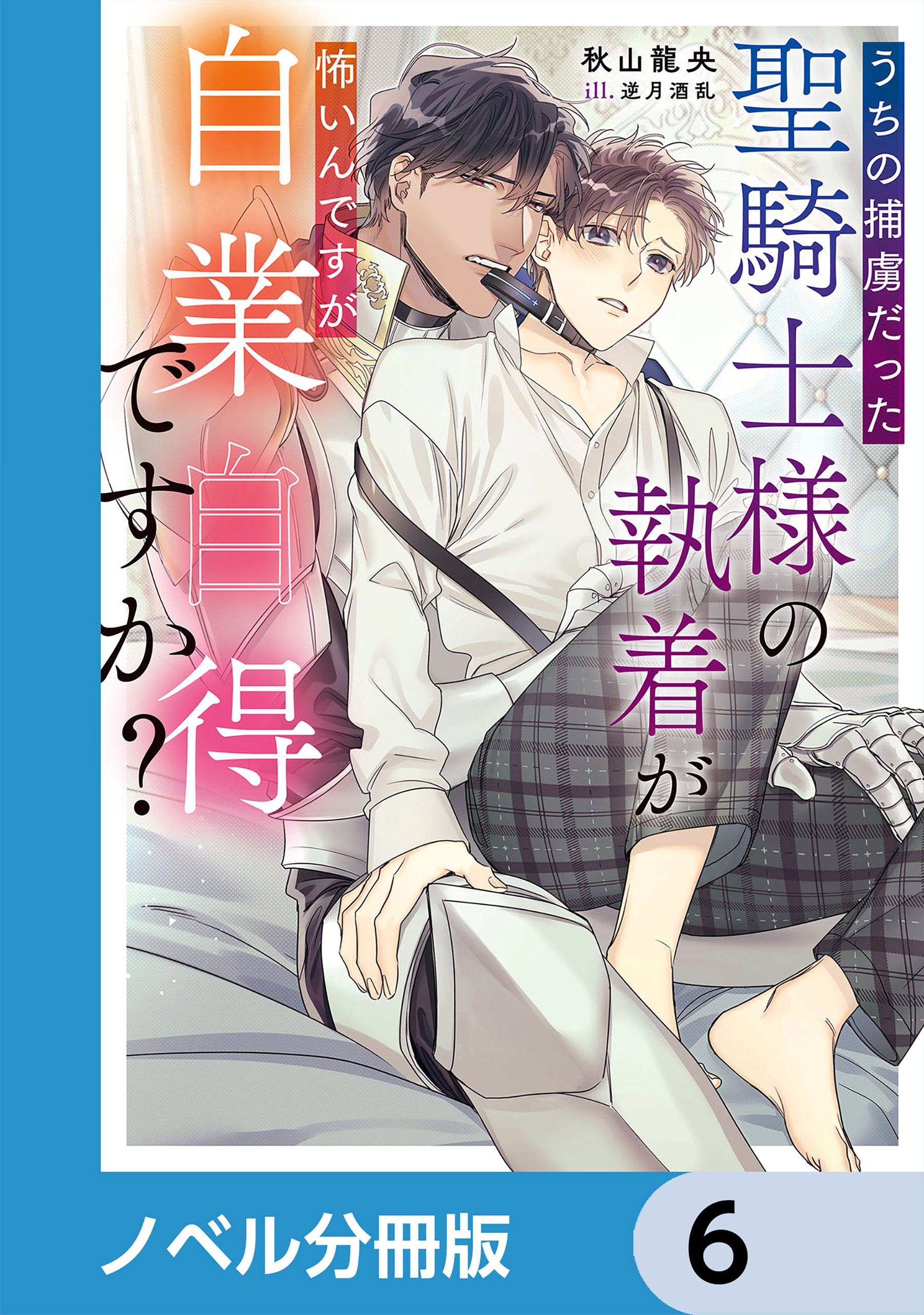 うちの捕虜だった聖騎士様の執着が怖いんですが自業自得ですか？【ノベル分冊版】　6