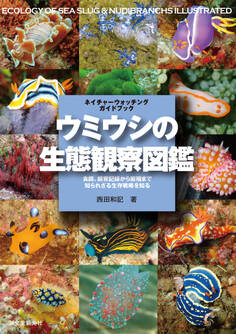 ウミウシの生態観察図鑑
