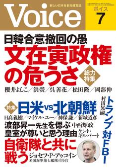 Voice 平成29年7月号