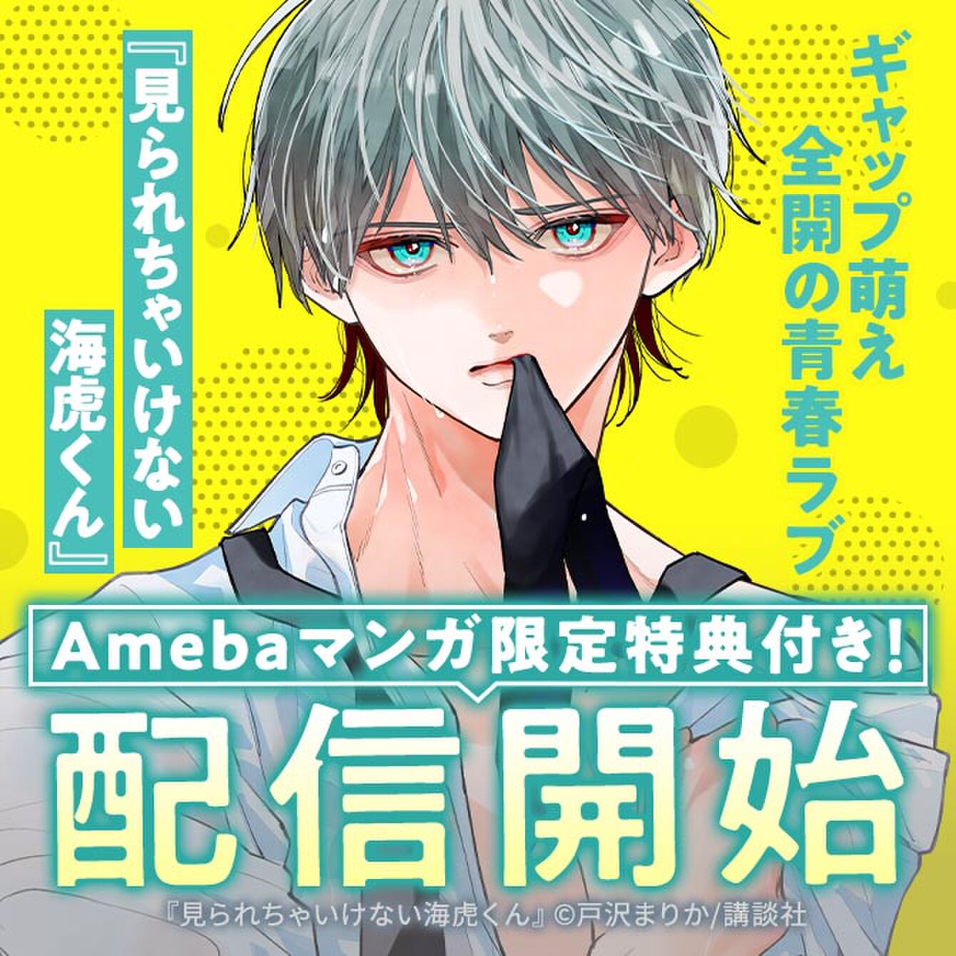 ギャップ萌え全開の青春ラブ『見られちゃいけない海虎くん』配信開始