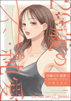 29歳の不・純愛 ~あなたが恋しいだけだった~ (4)