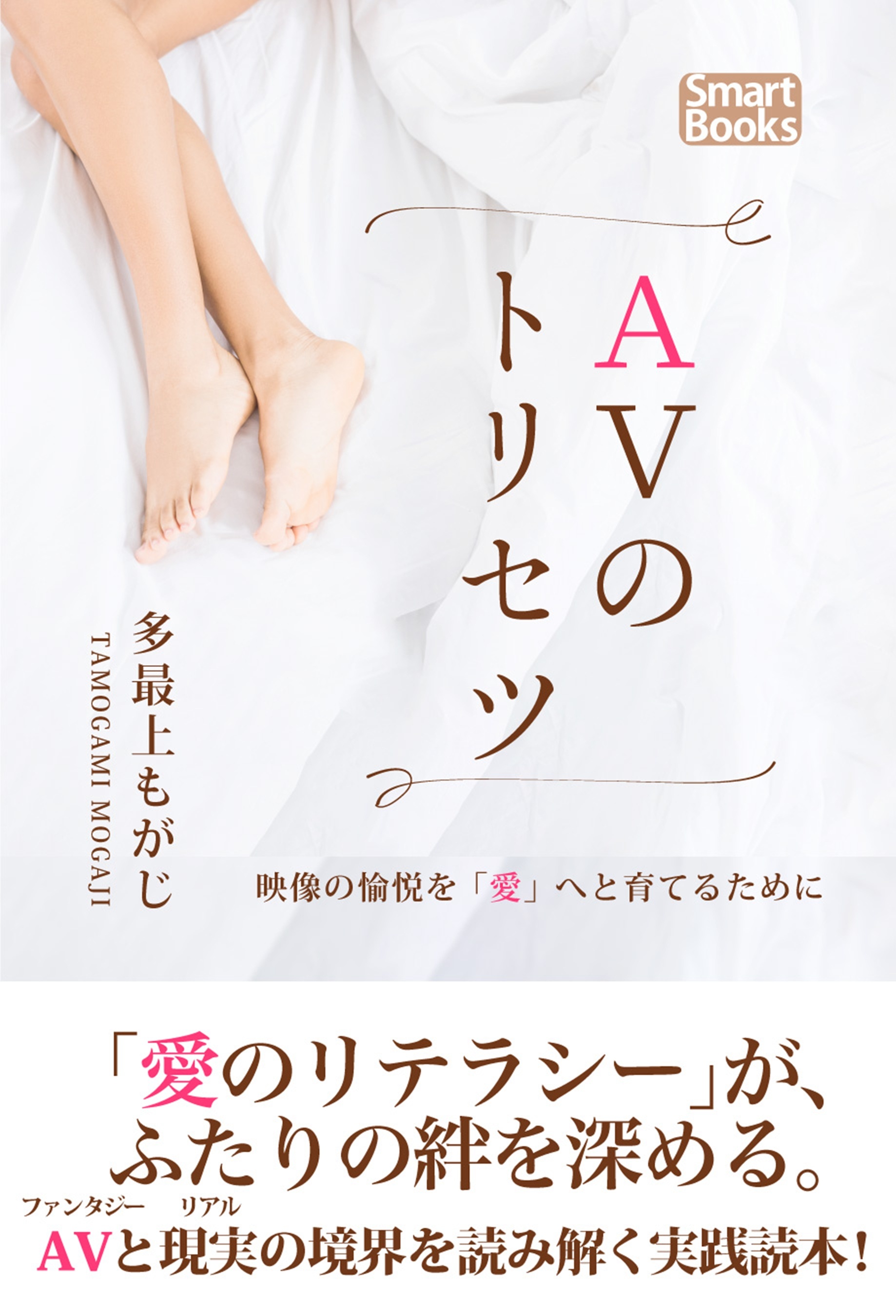 ＡＶのトリセツ 映像の愉悦を“愛”へと育てるために