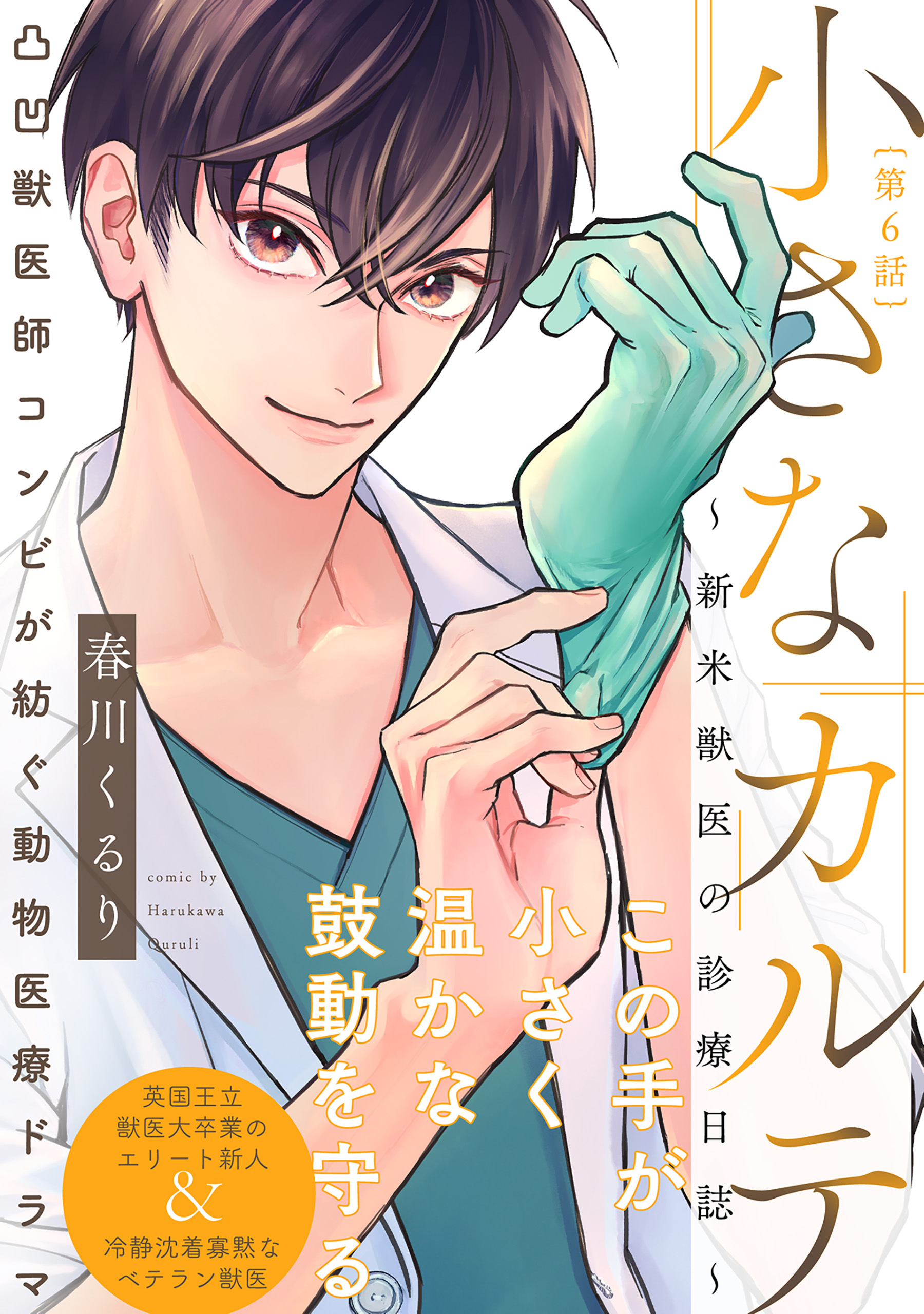 小さなカルテ～新米獣医の診療日誌～(6)
