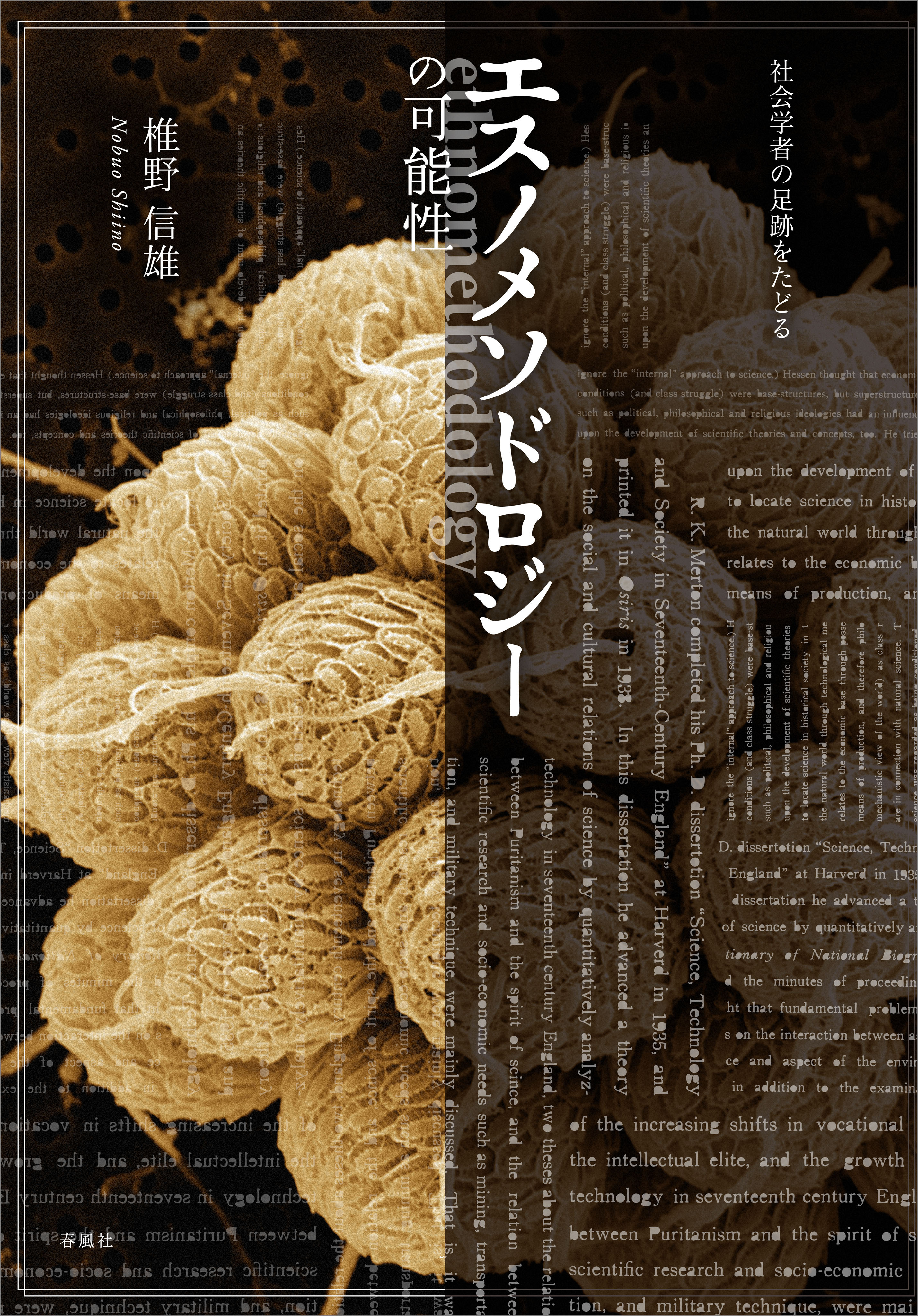 エスノメソドロジーの可能性