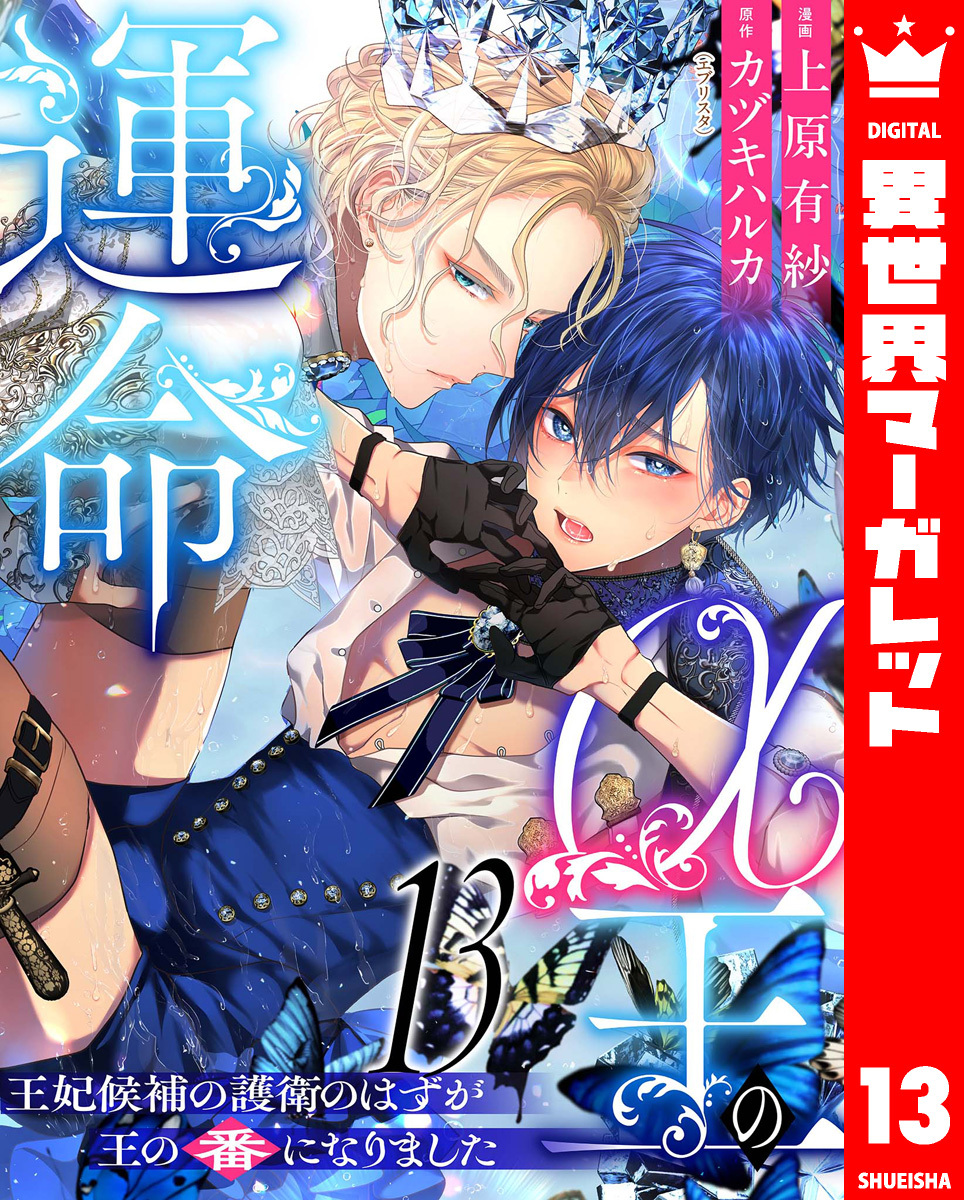 α王の運命～王妃候補の護衛のはずが王の番になりました～ 13
