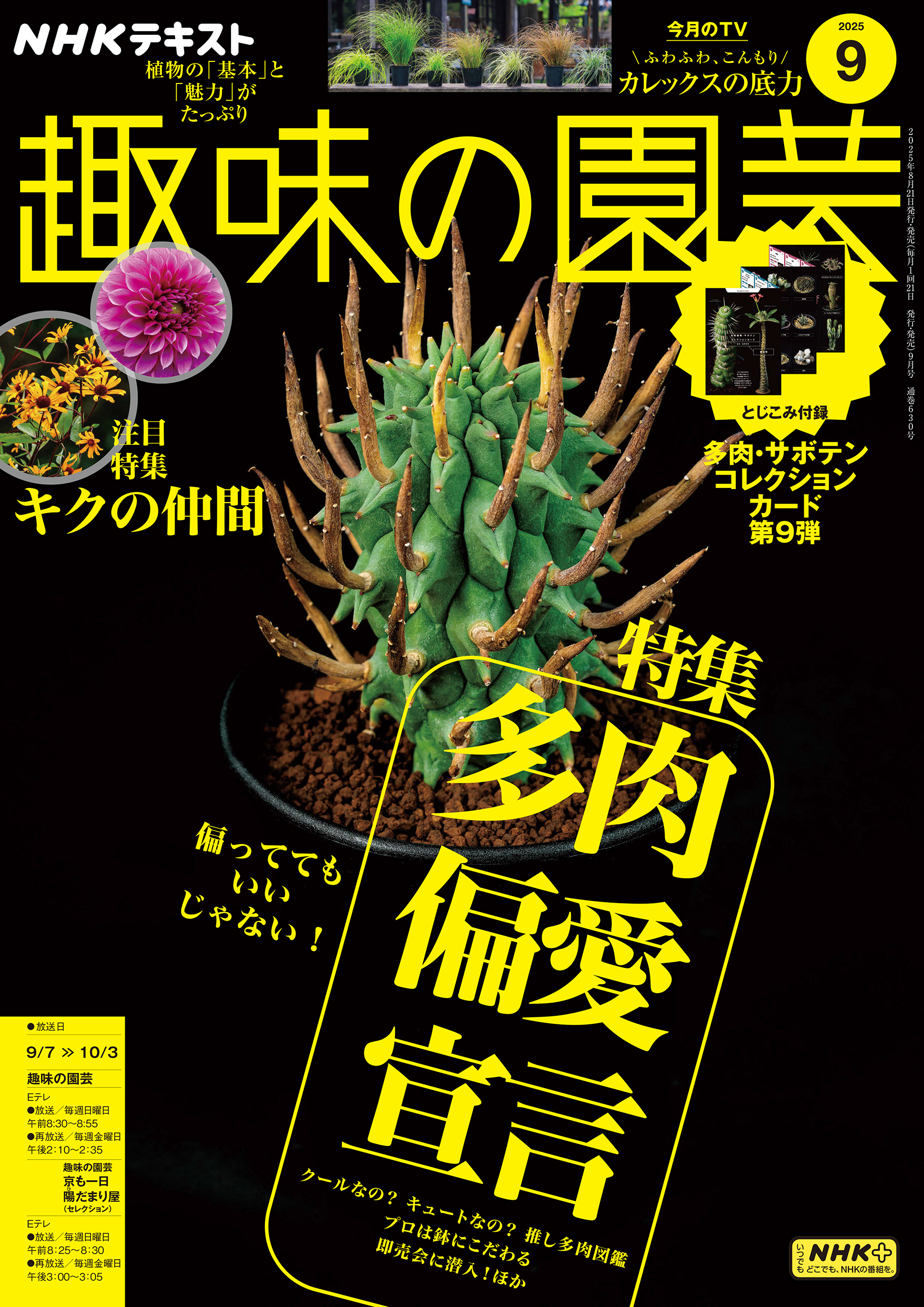 ＮＨＫ 趣味の園芸 2025年9月号