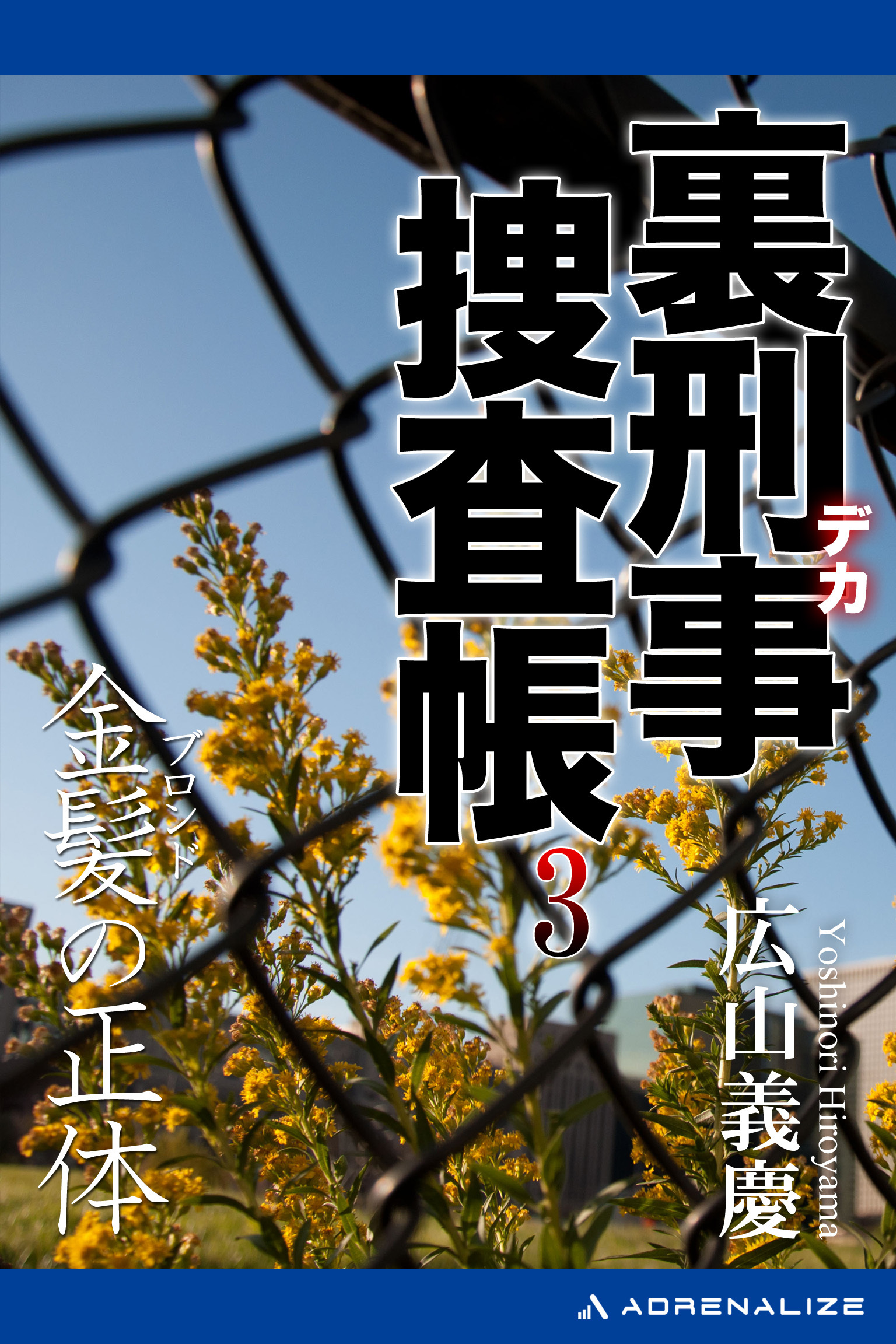 裏刑事捜査帳（３）　金髪（ブロンド）の正体