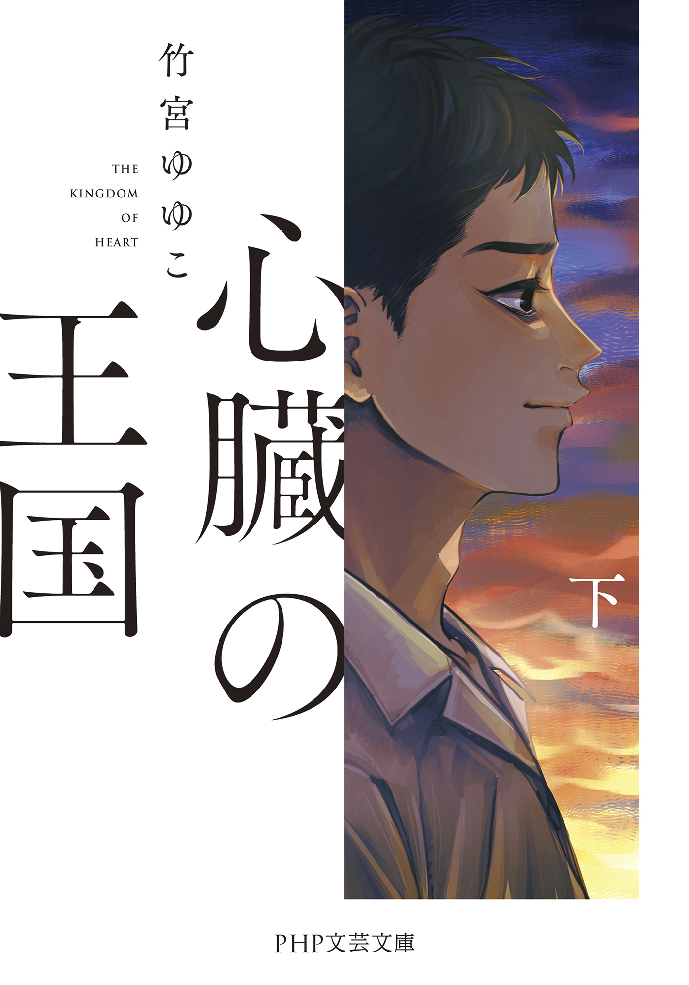 心臓の王国（上）