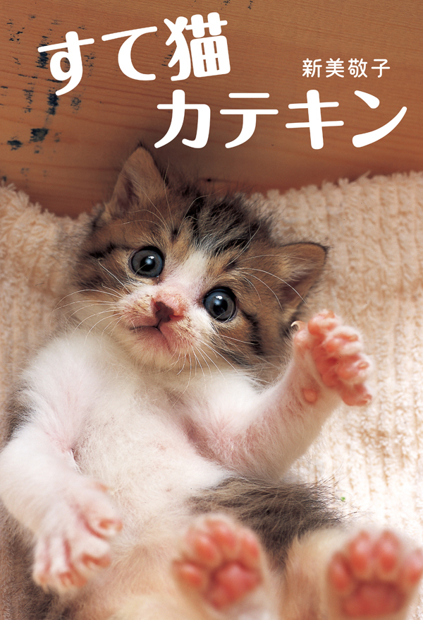 すて猫カテキン