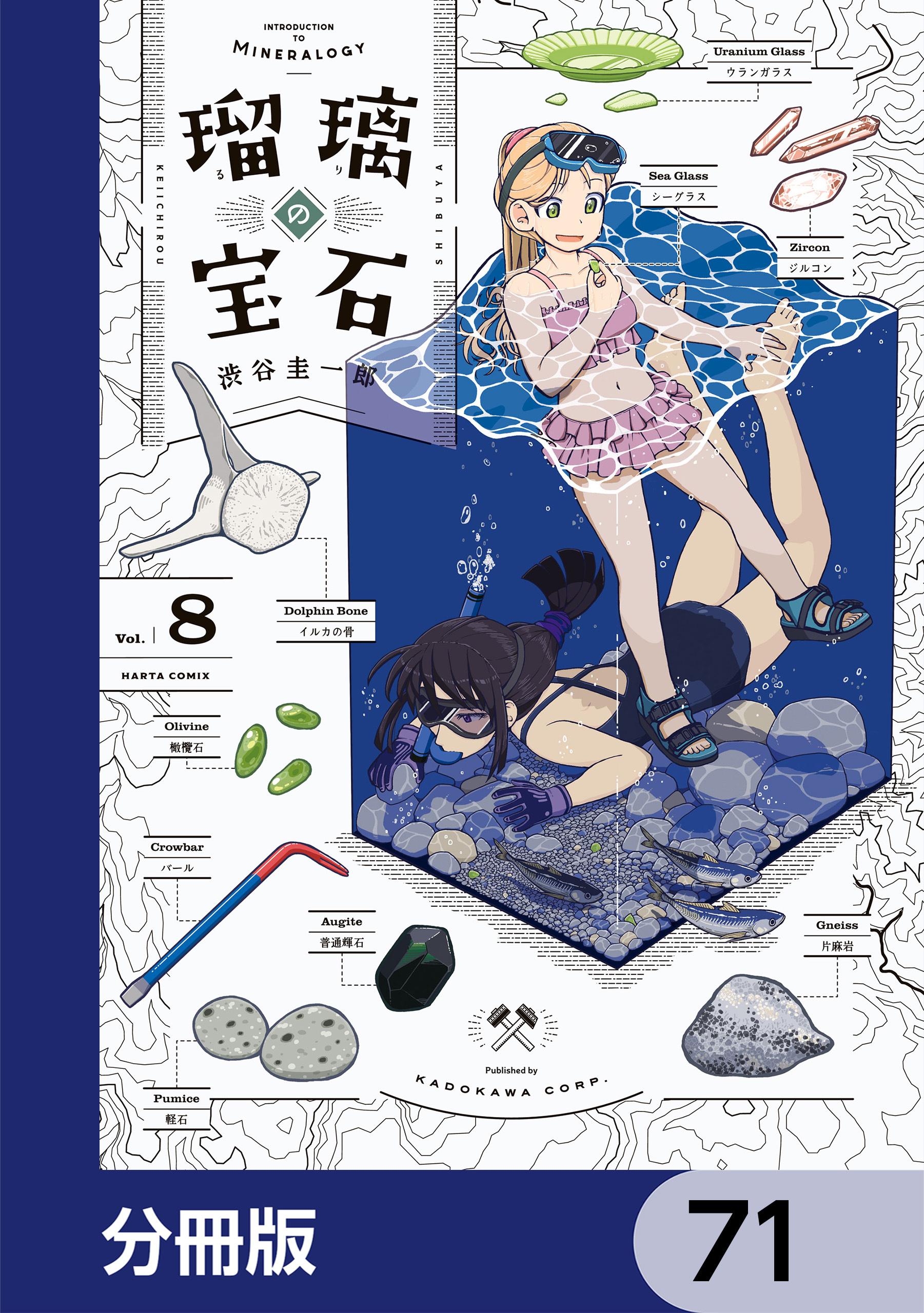瑠璃の宝石【分冊版】　71