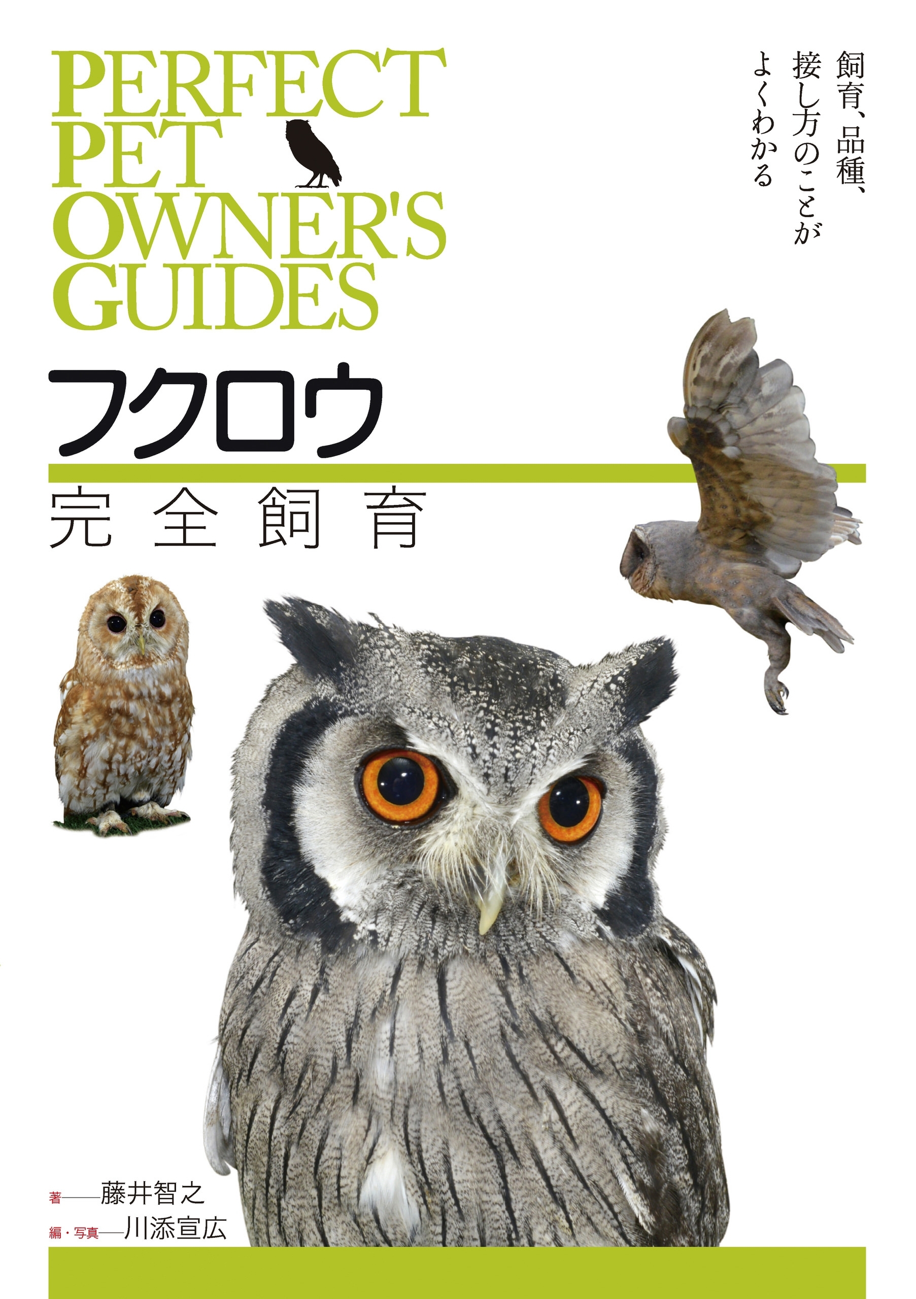 フクロウ完全飼育