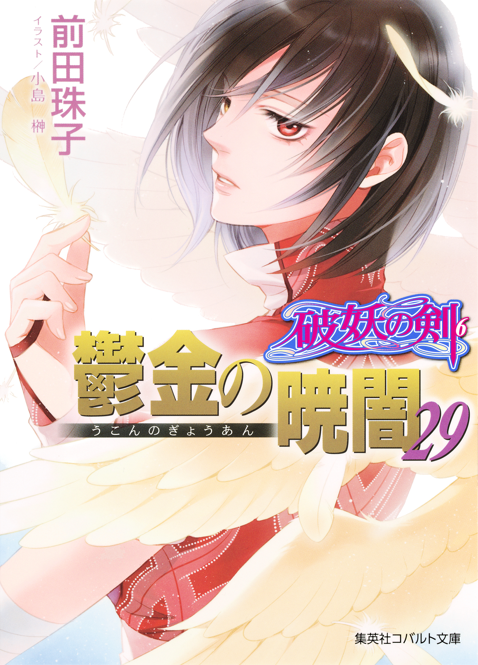 破妖の剣6　鬱金の暁闇29