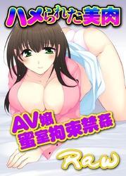 ハメられた美肉～ＡＶ嬢蜜室拘束禁姦～