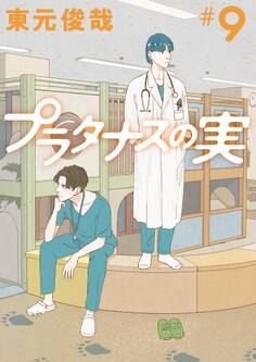 プラタナスの実 9