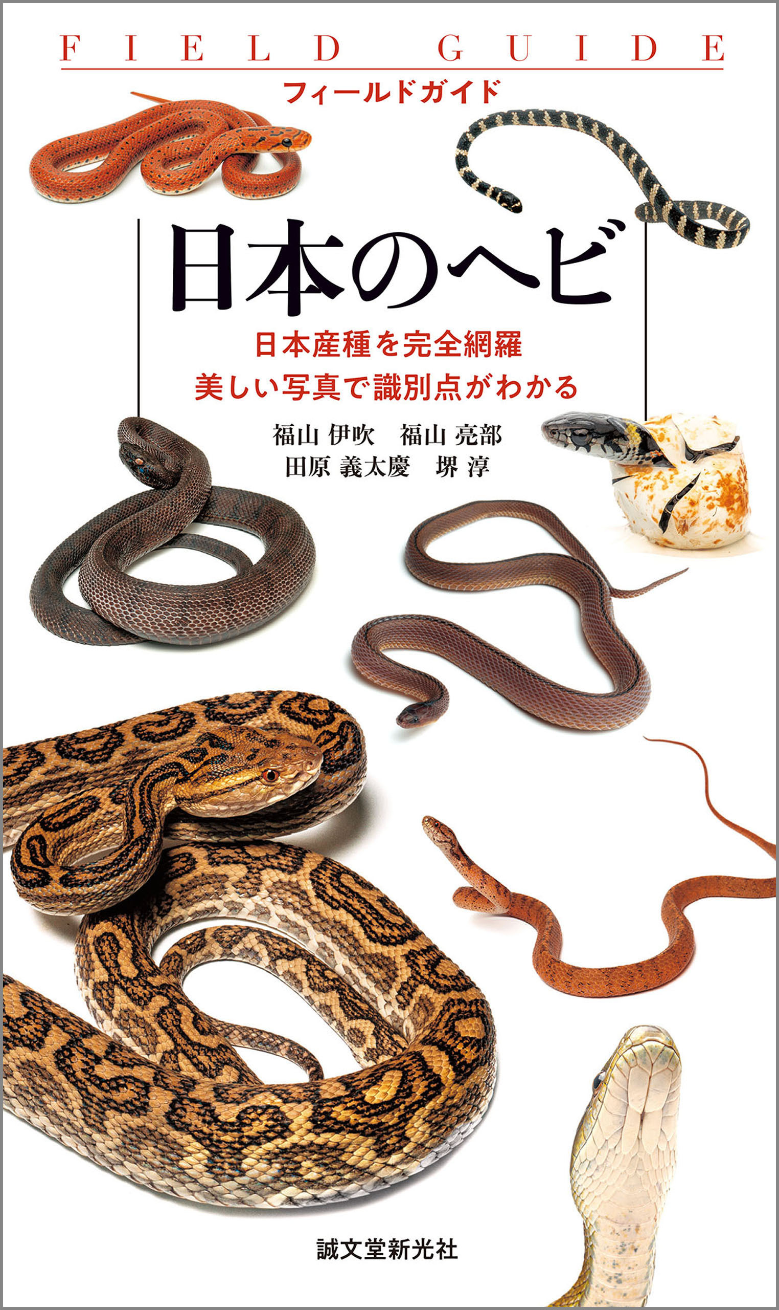 日本のヘビ