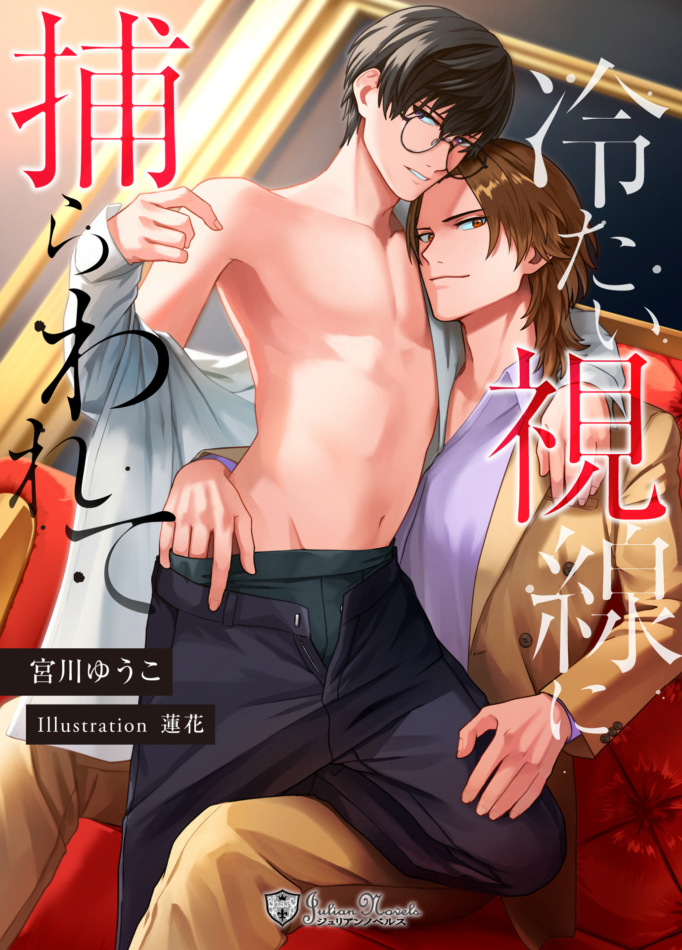 冷たい視線に捕らわれて＜新装版＞