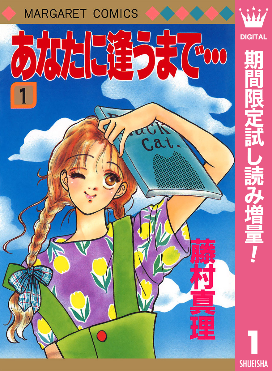 あなたに逢うまで…【期間限定試し読み増量】 1