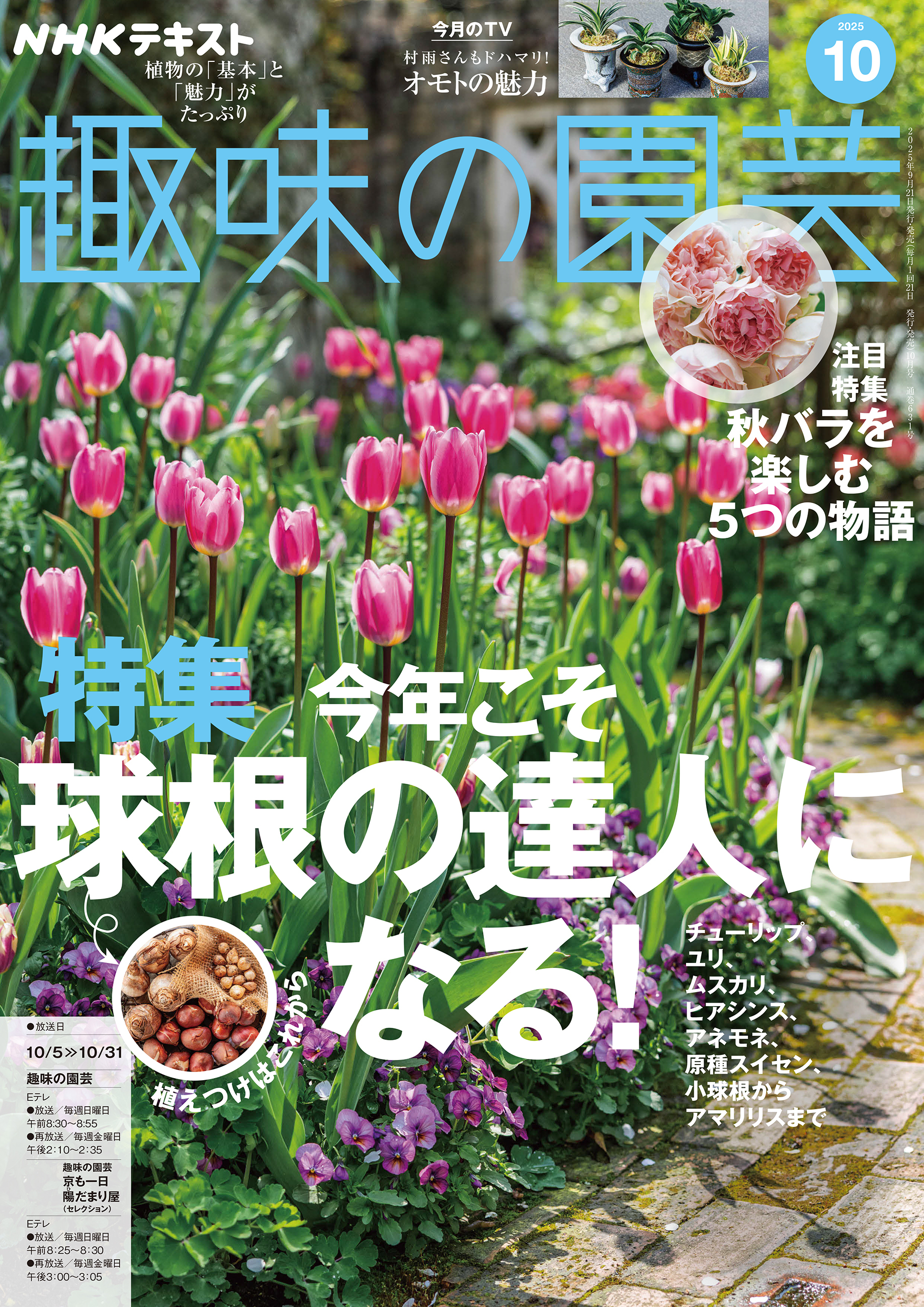 ＮＨＫ 趣味の園芸 2025年10月号
