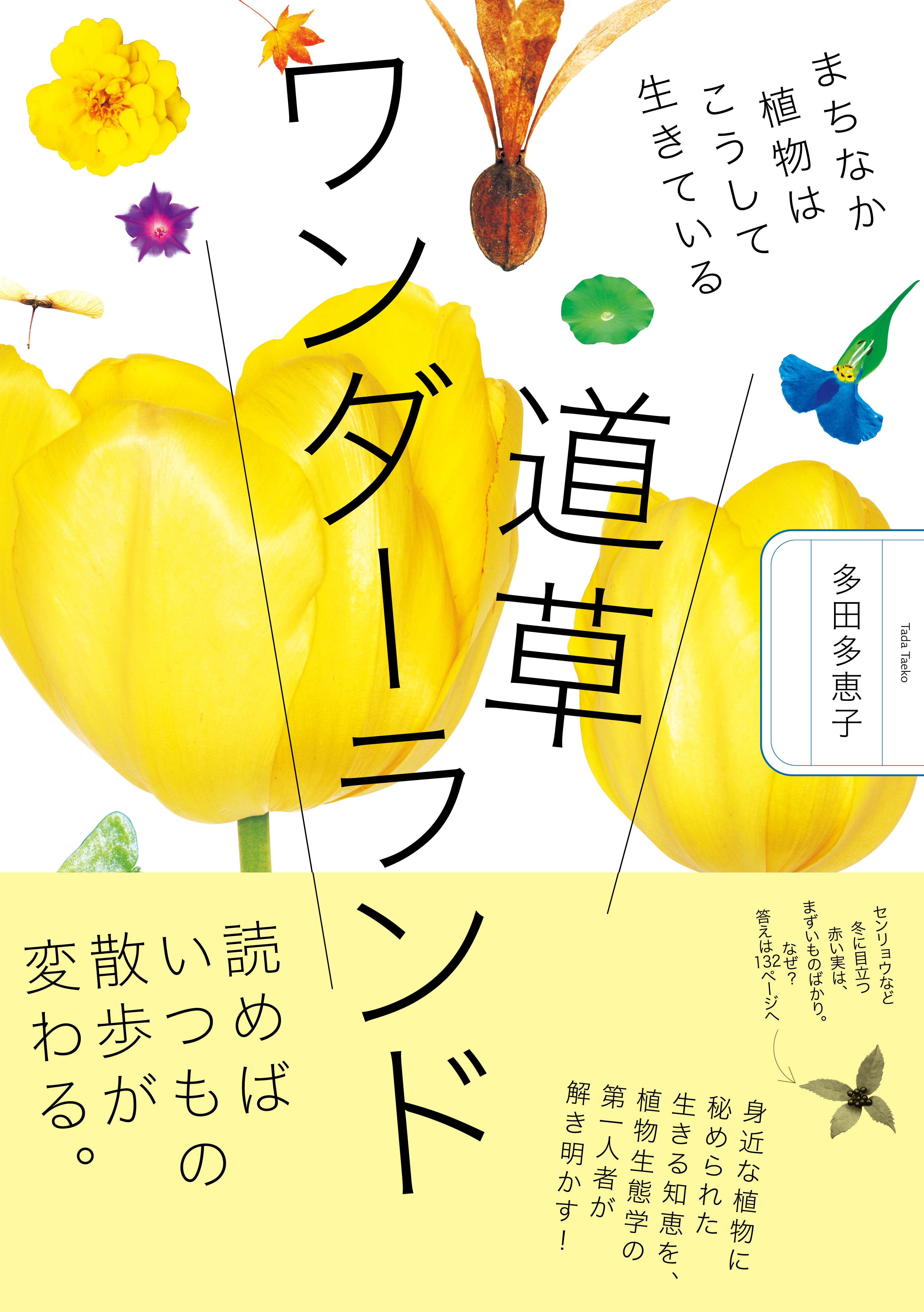 道草ワンダーランド　まちなか植物はこうして生きている