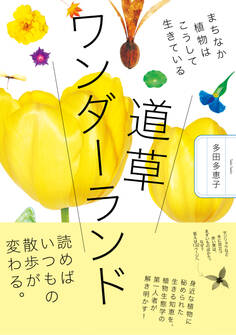 道草ワンダーランド まちなか植物はこうして生きている