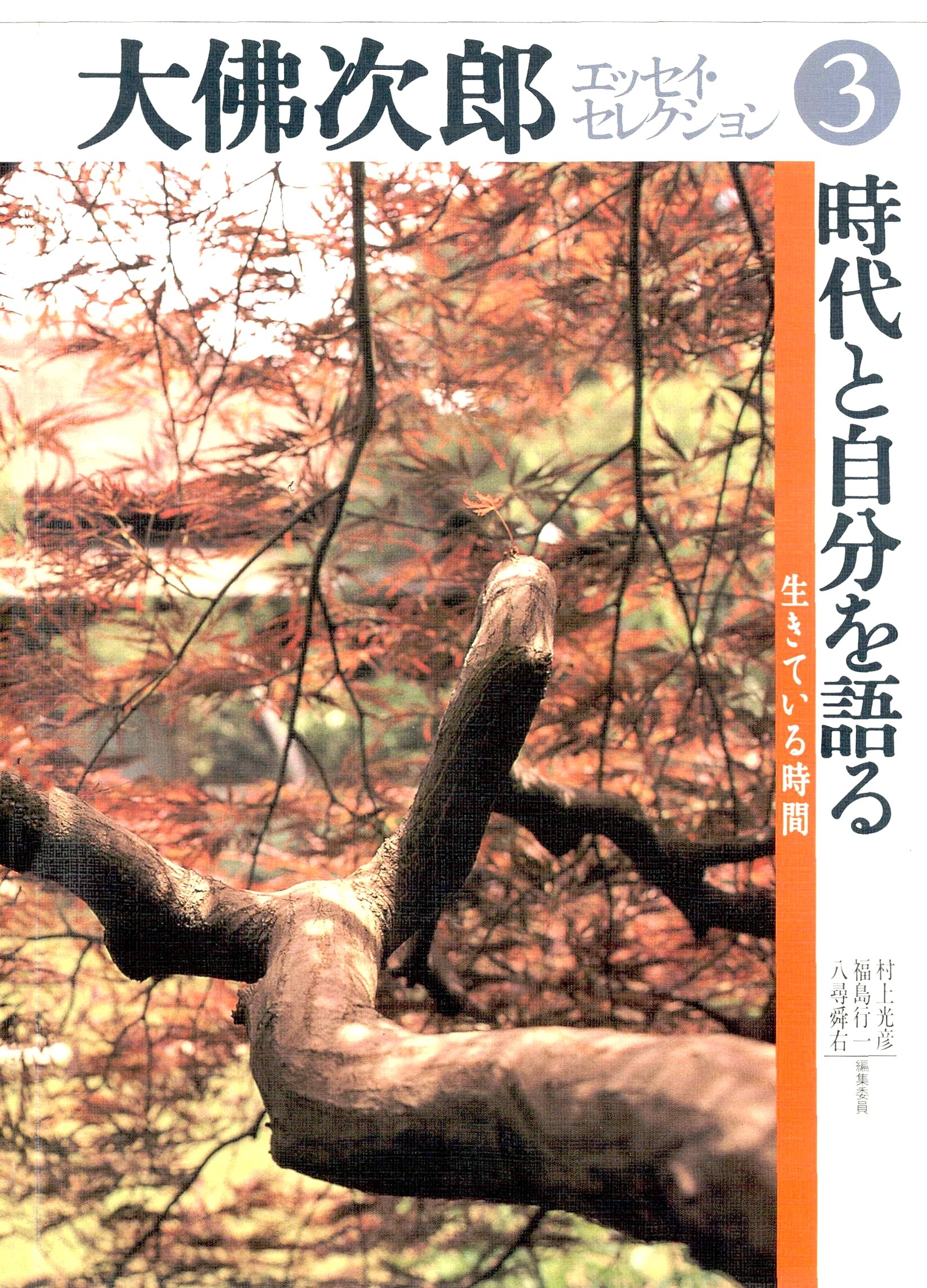 大佛次郎エッセイ・セレクション