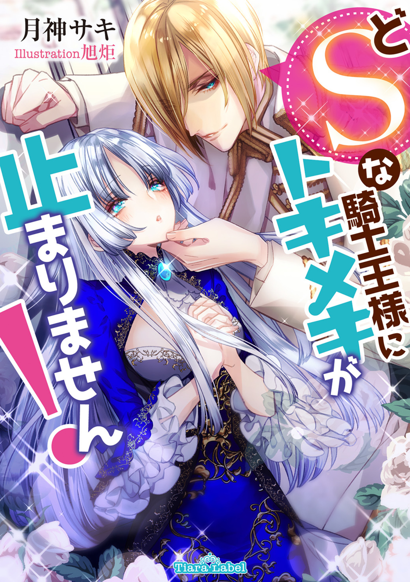 どSな騎士王様にトキメキが止まりません！