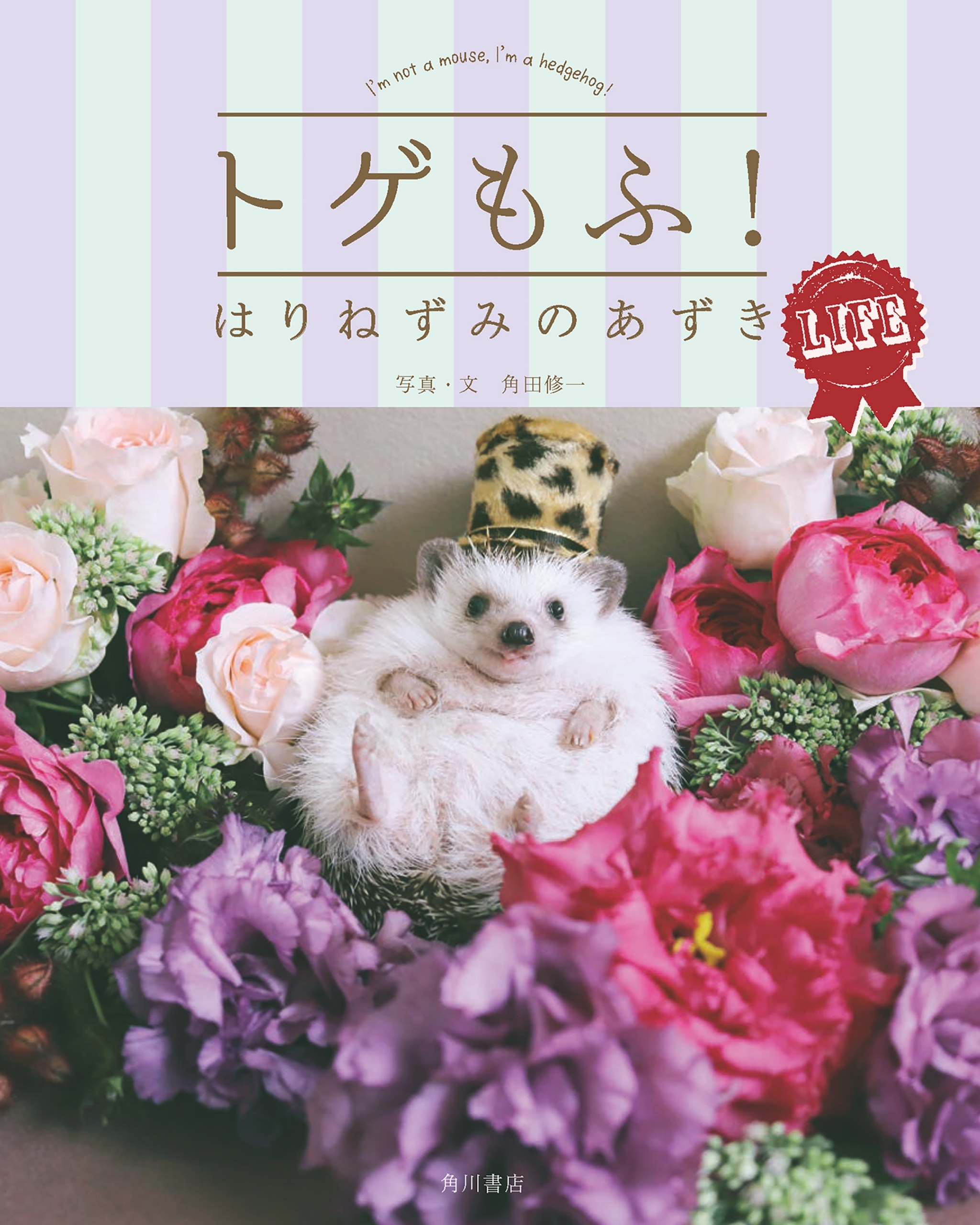 トゲもふ！ はりねずみのあずき