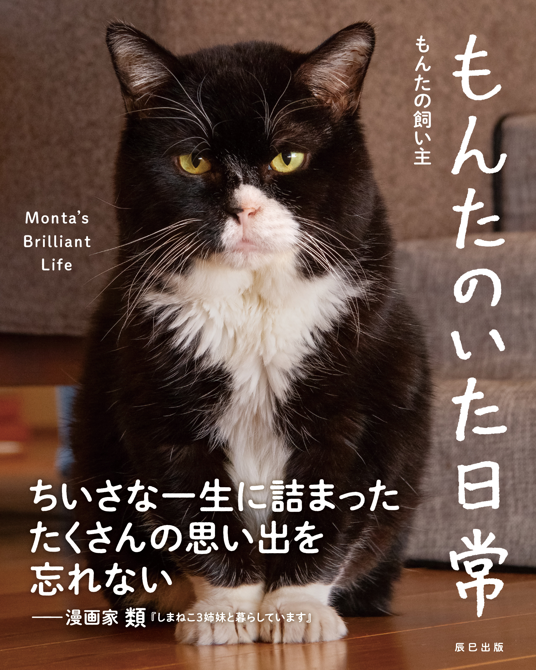 もんたのいた日常