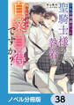 うちの捕虜だった聖騎士様の執着が怖いんですが自業自得ですか?【ノベル分冊版】 38