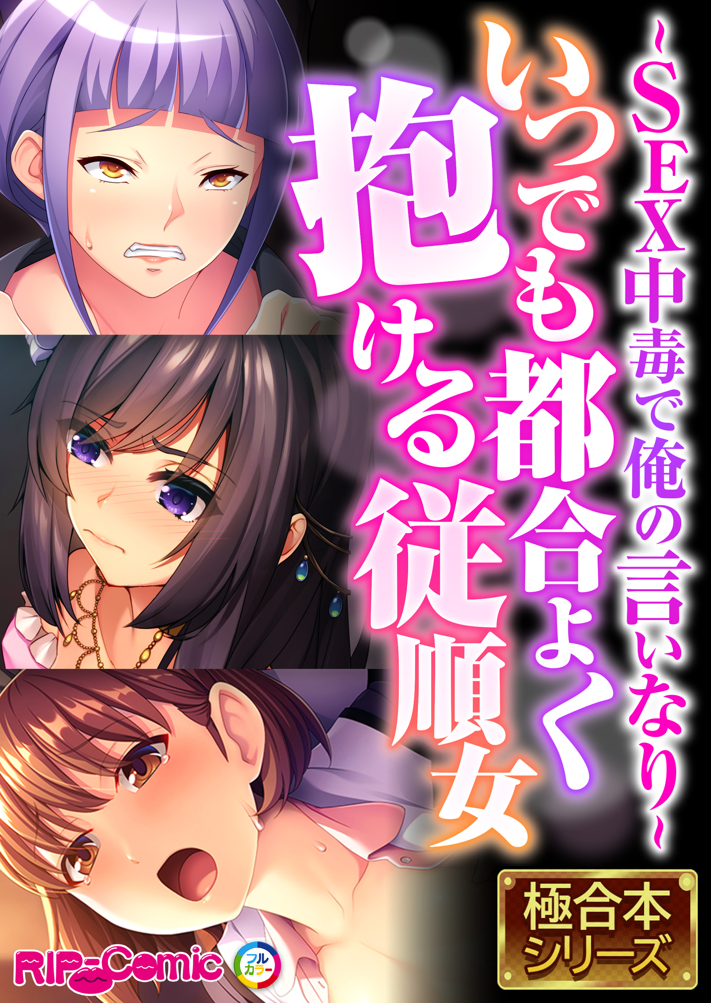 いつでも都合よく抱ける従順女 ～SEX中毒で俺の言いなり～【極合本シリーズ】