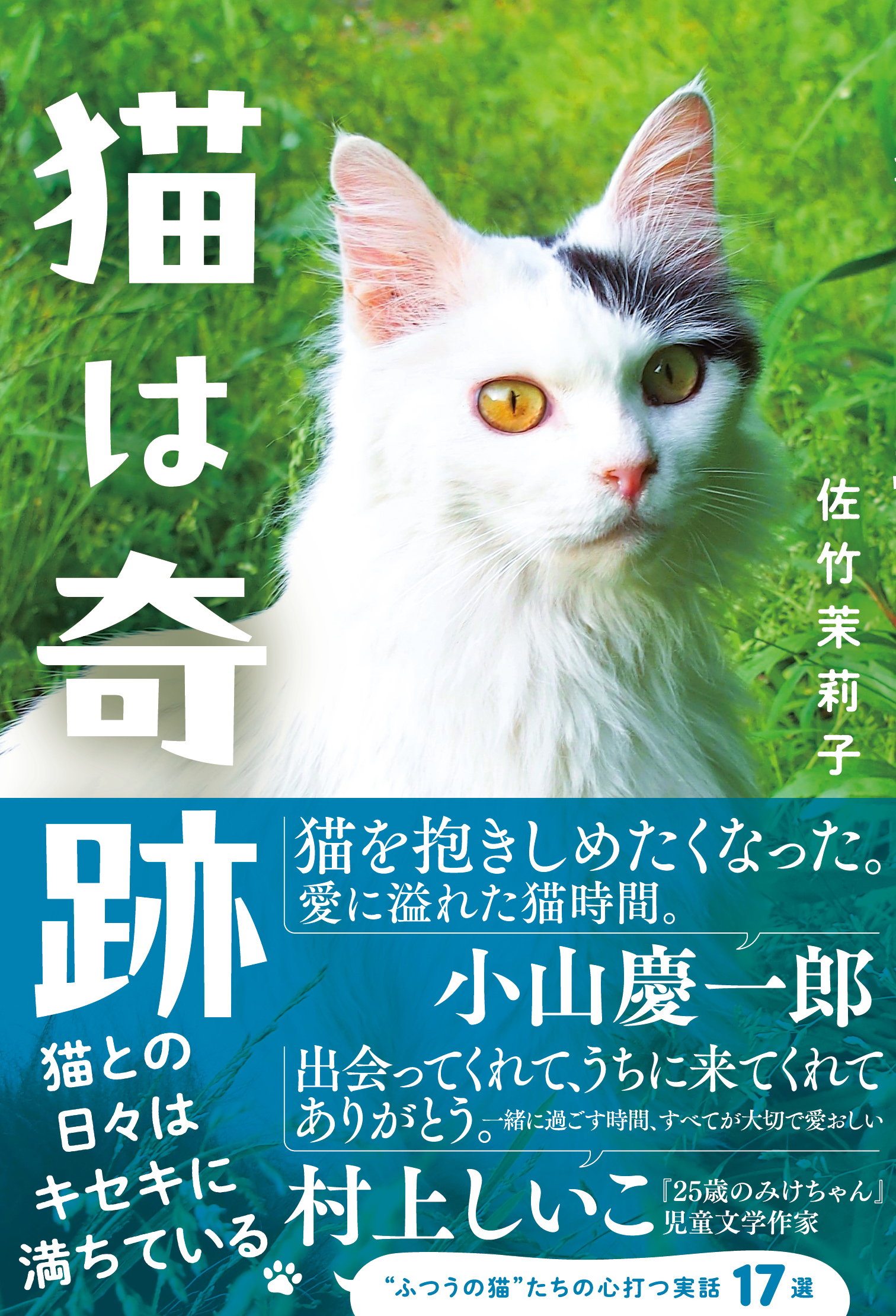 猫は奇跡