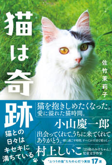 猫は奇跡