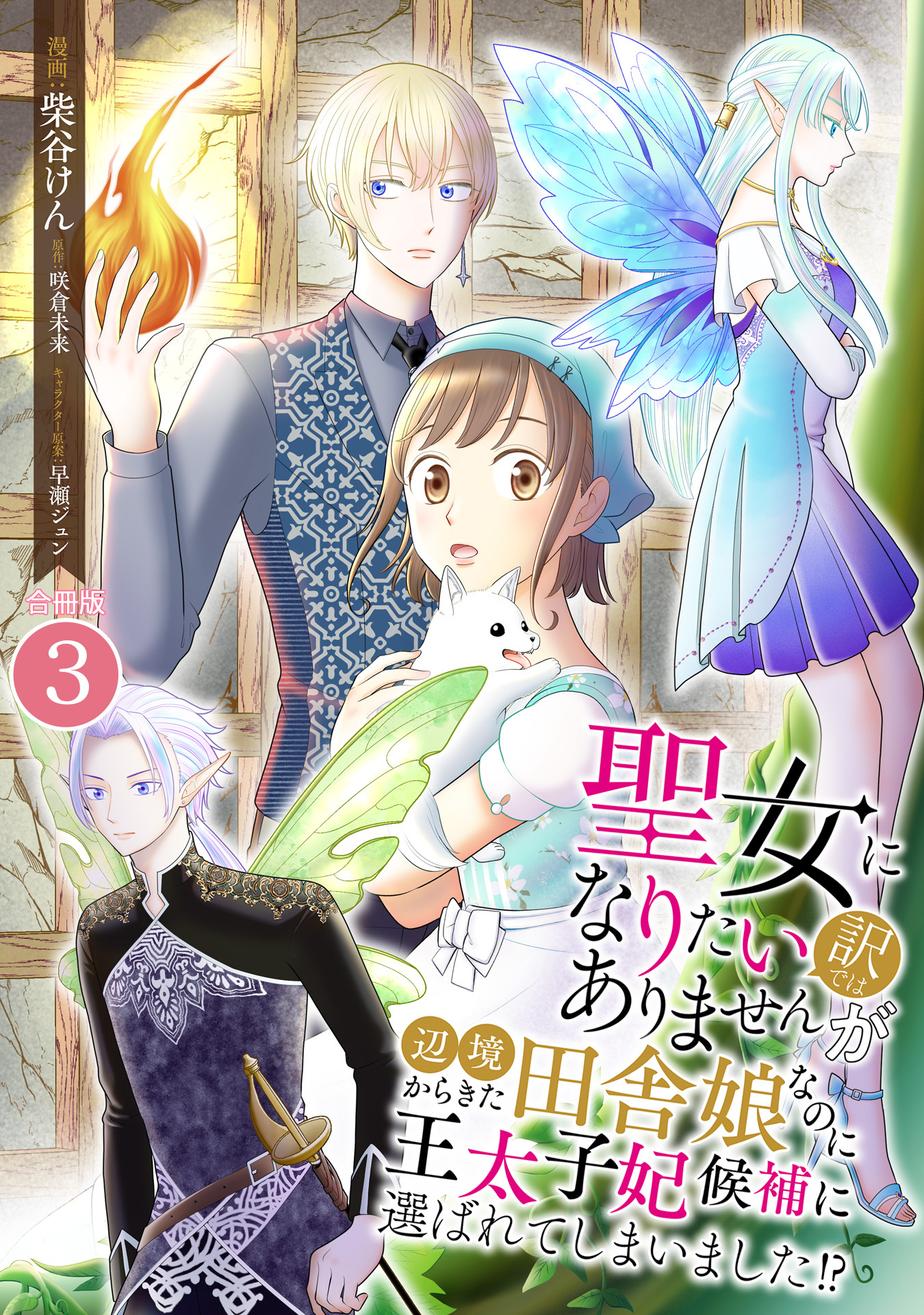 聖女になりたい訳ではありませんが　辺境からきた田舎娘なのに王太子妃候補に選ばれてしまいました!?【合冊版】 / 3