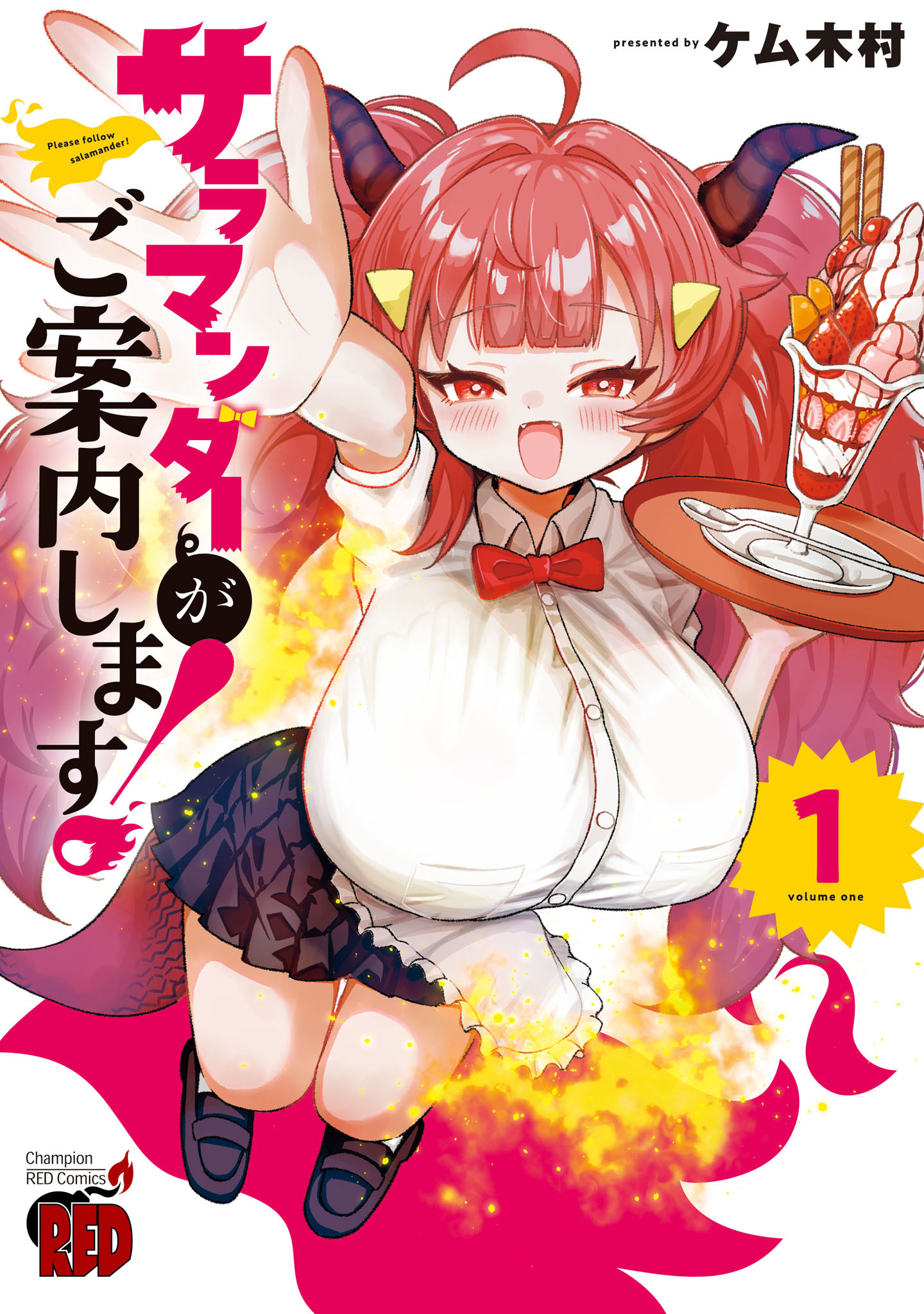 サラマンダーがご案内します！